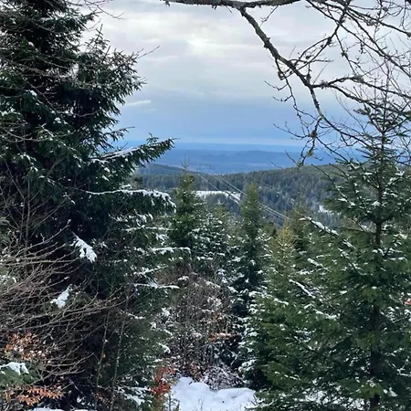 House In Vosges Near Forest And Hiking Trails, Cleaning Included